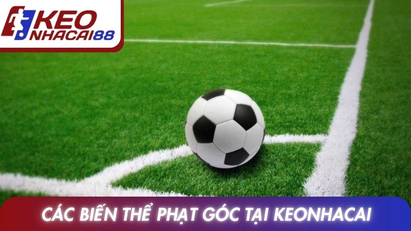 Kèo Phạt Góc: Luật Tính, Phân Loại Và Kinh Nghiệm Theo Dõi 3 Các biến thể phạt góc được phân tích tại Keonhacai