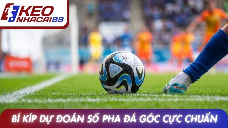 Kèo Phạt Góc: Luật Tính, Phân Loại Và Kinh Nghiệm Theo Dõi 4 Bí kíp dự đoán số pha đá góc cực chuẩn